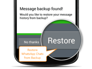 Restore Whatsapp Plus Chats
