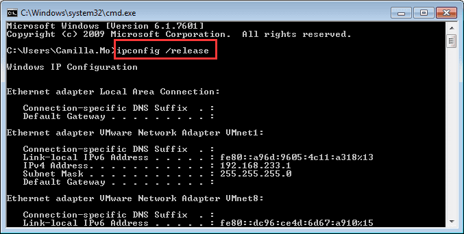ipconfig:release