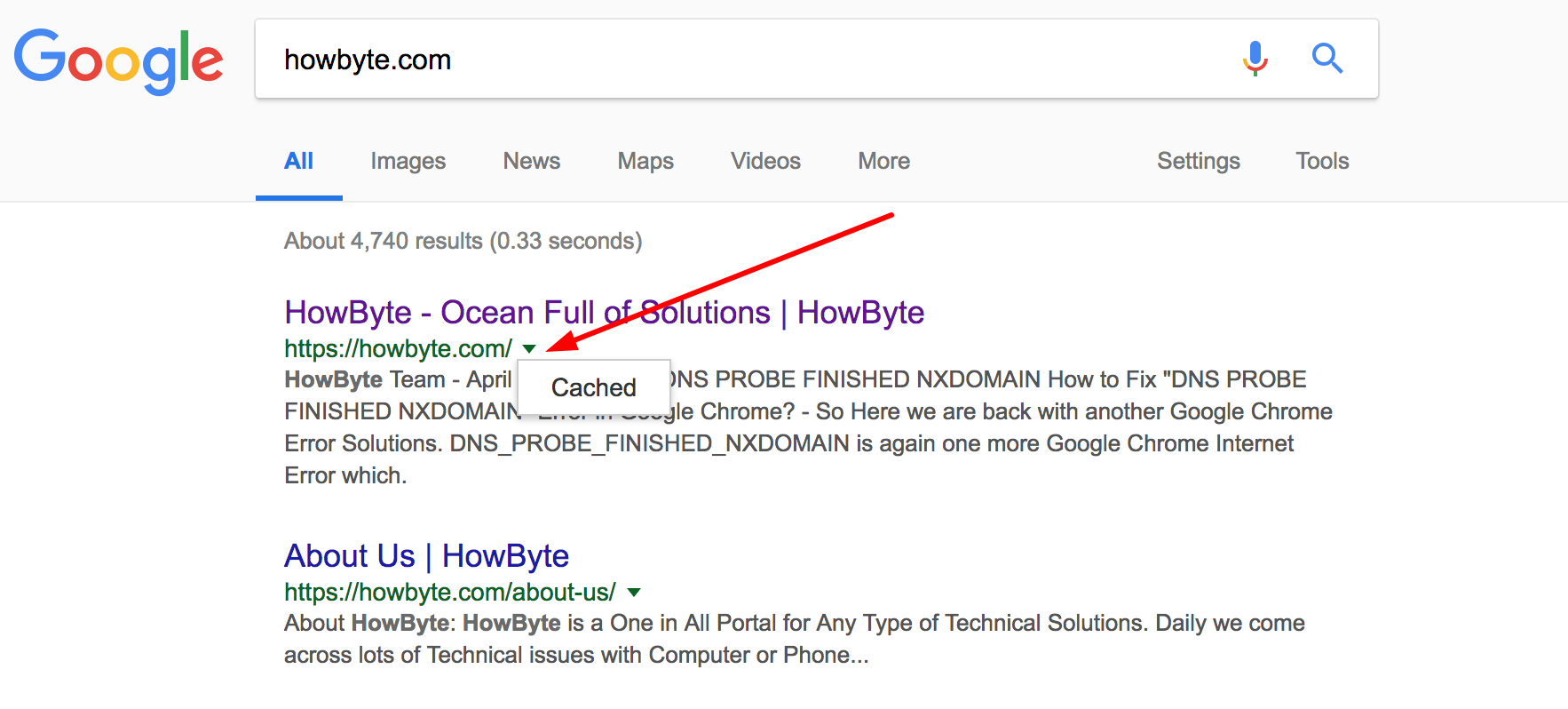 How to access Google cache in case of 500 Internal Service Error?