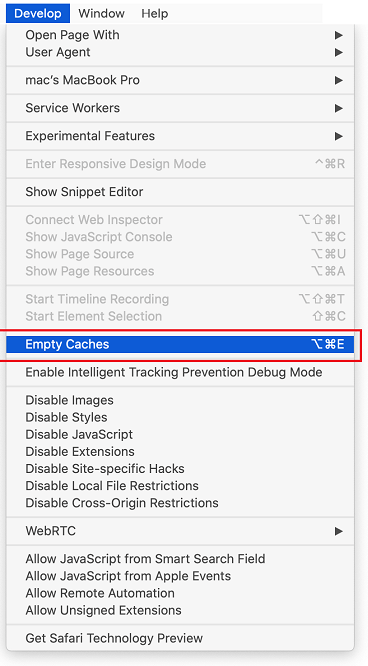 Empty Caches option in Develop Tab